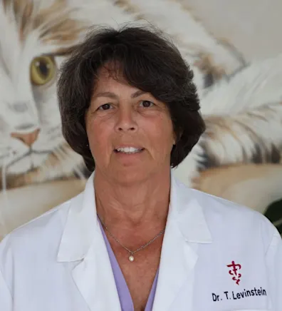 Puppy Stencil Drawing Puppy Stencil Drawing