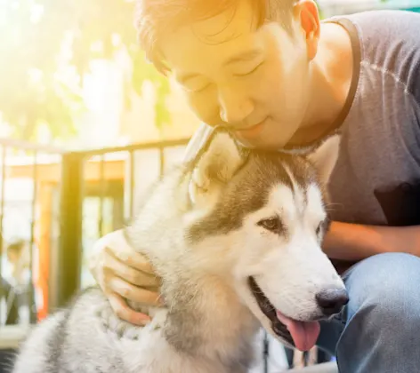 Man Hugging Dog on Balcony Man Hugging Dog on Balcony