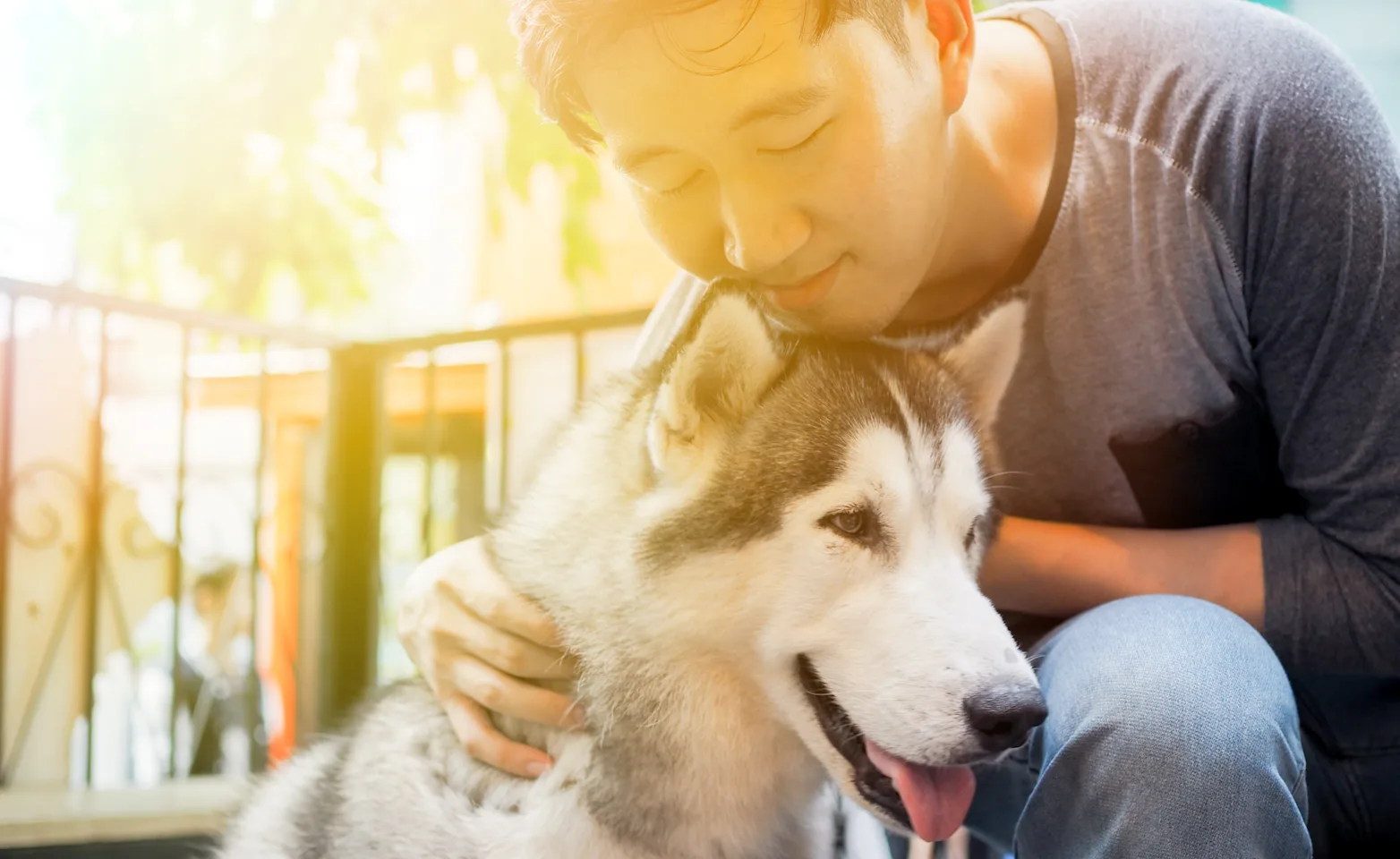 Man Hugging Dog on Balcony Man Hugging Dog on Balcony