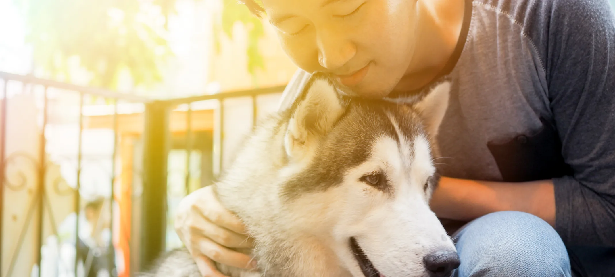 Man Hugging Dog on Balcony Man Hugging Dog on Balcony