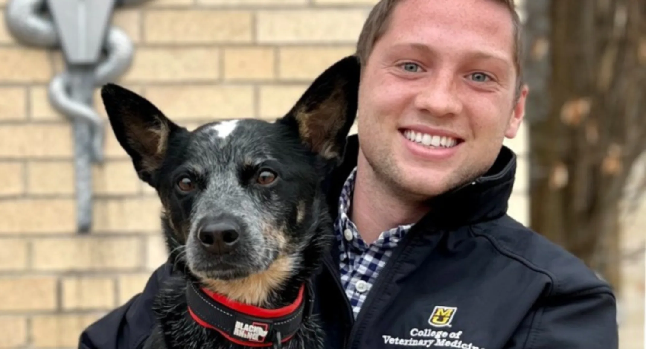 Male extern veterinarian holding a black dog Male extern veterinarian holding a black dog