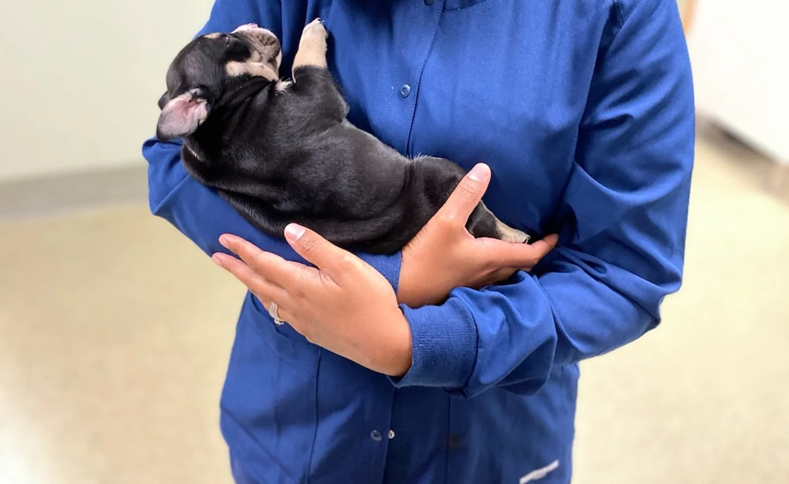 Aaron hugging dog