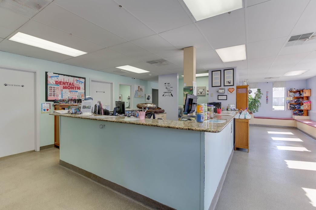 Owl Creek Veterinary Hospital Reception