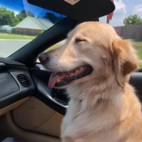 Jolie Dhuet Jolie Dhuet