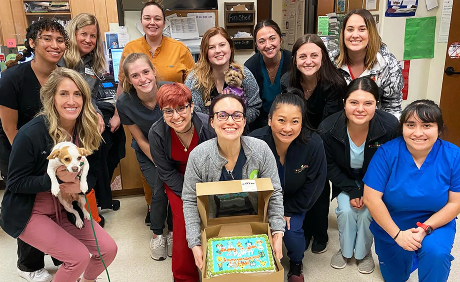 A group photo of the South Park Animal Hospital team on their 12th anniversary