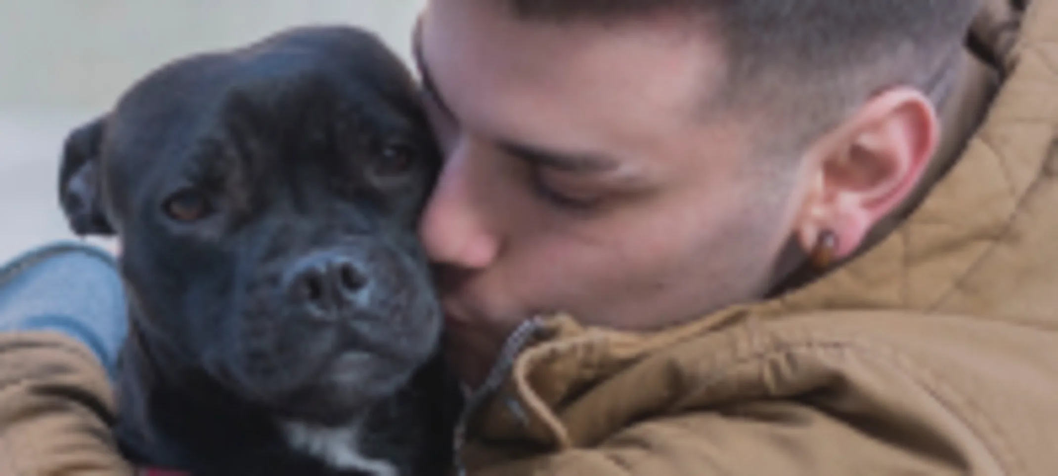 Gentleman is sitting on the ground hugging and kissing his black puppy lovingly. Gentleman is sitting on the ground hugging and kissing his black puppy lovingly.