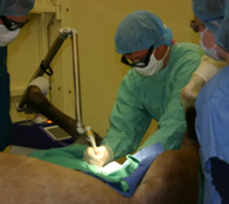 Vet performing Laser Surgery Vet performing Laser Surgery