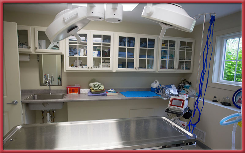 Stoney Brook Veterinary Hospital surgery room table