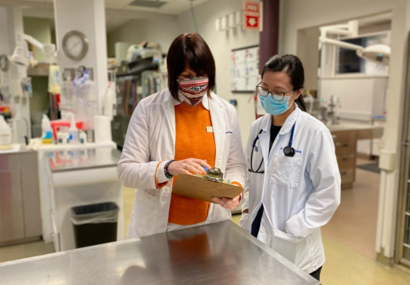 Two veterinarians reading papers