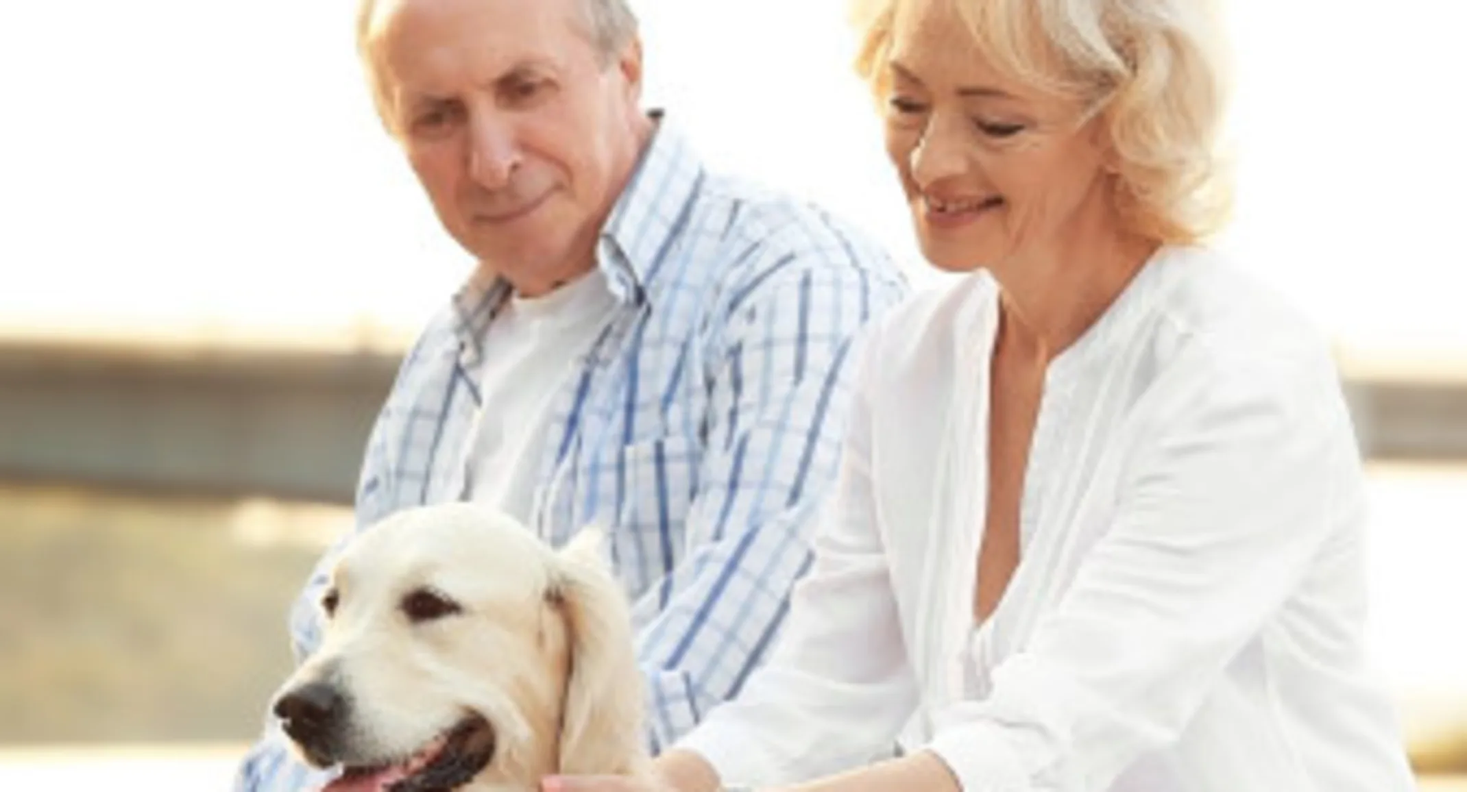 Senior couple with dog Senior couple with dog