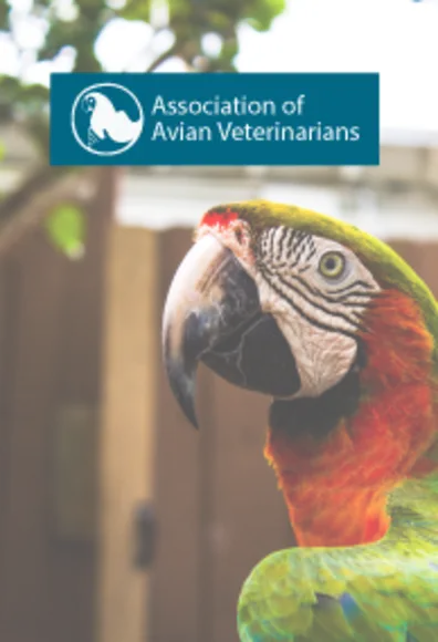 Association of avian veterinarians Association of avian veterinarians