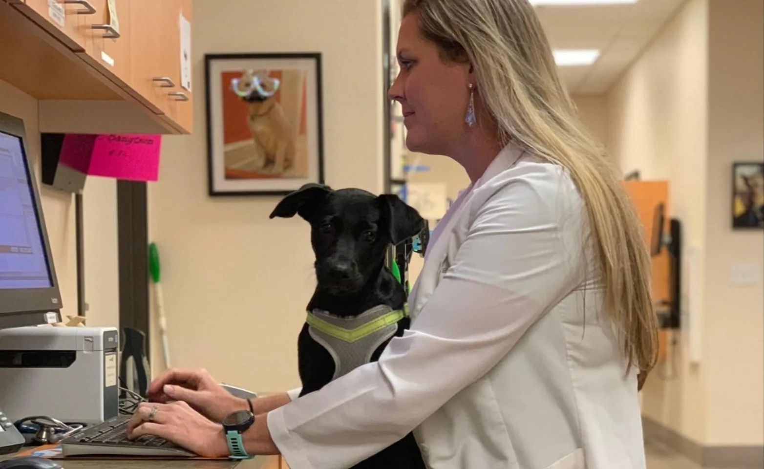 Abby Pet Hospital - Doctors holding dog