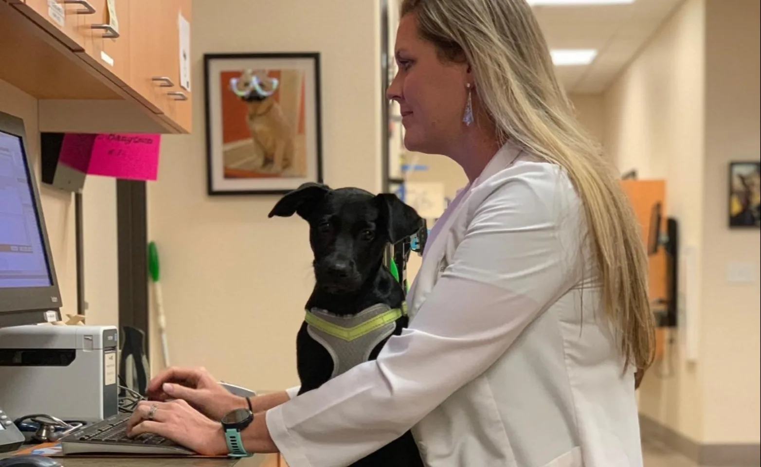 Abby Pet Hospital - Doctors holding dog Abby Pet Hospital - Doctors holding dog