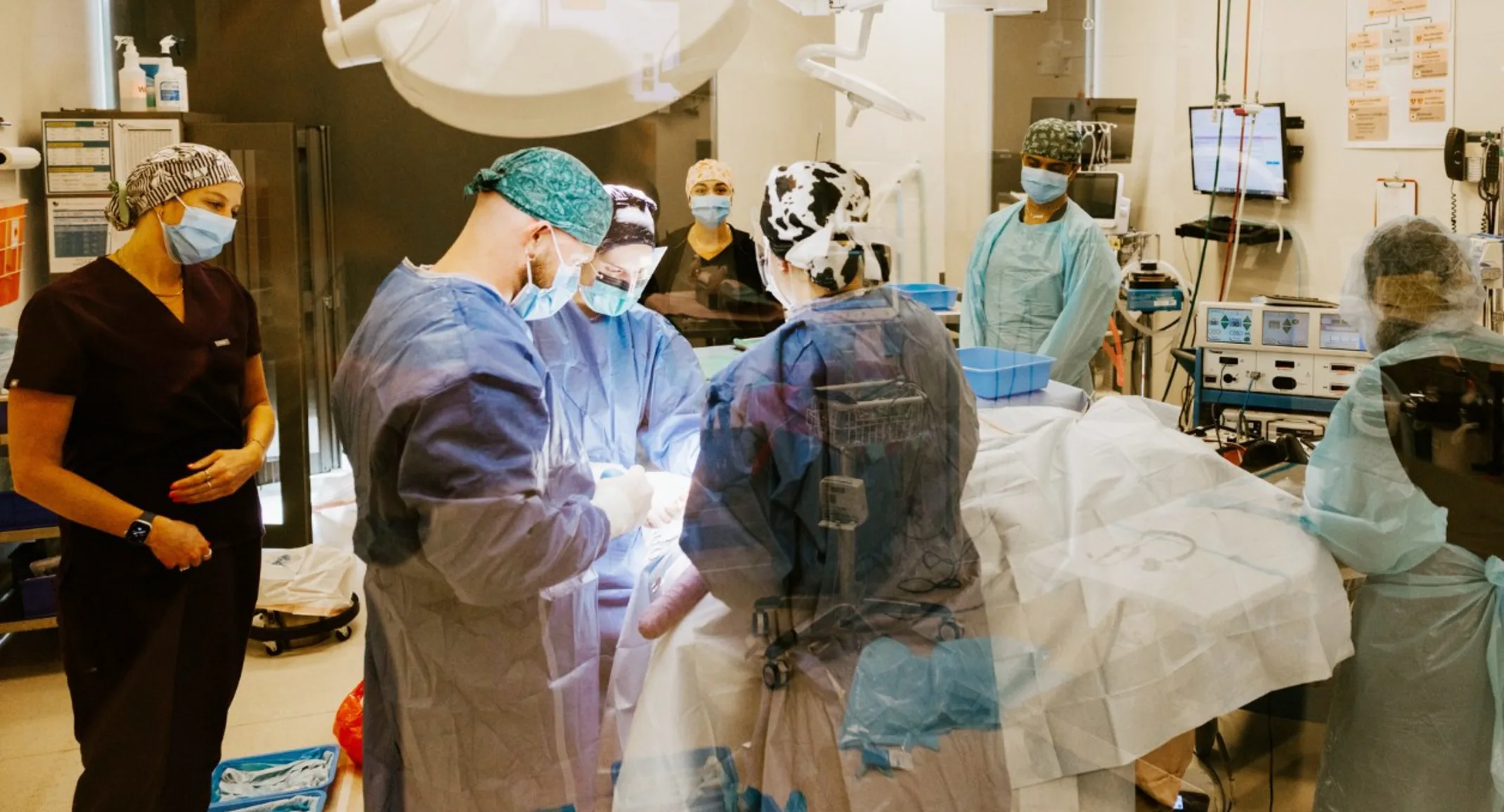 Staff helping vet to perform surgery on a patient. Staff helping vet to perform surgery on a patient.