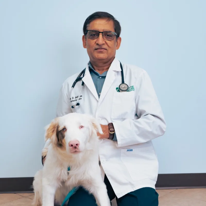 Dr. Dev Sabhaya Dr. Dev Sabhaya
