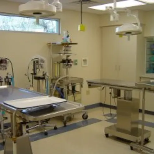 Small Animal Hospital Surgical room