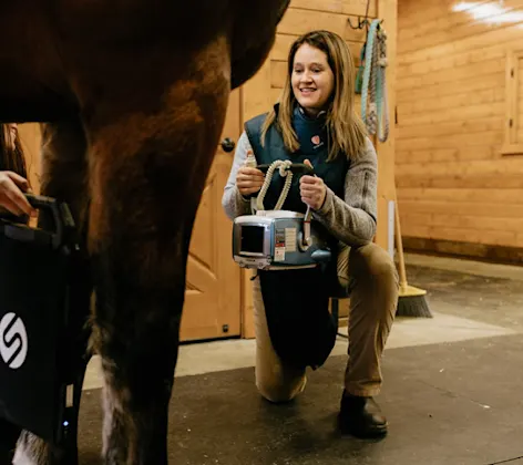 Veterinarian taking a digital image of a horse's leg. Veterinarian taking a digital image of a horse's leg.