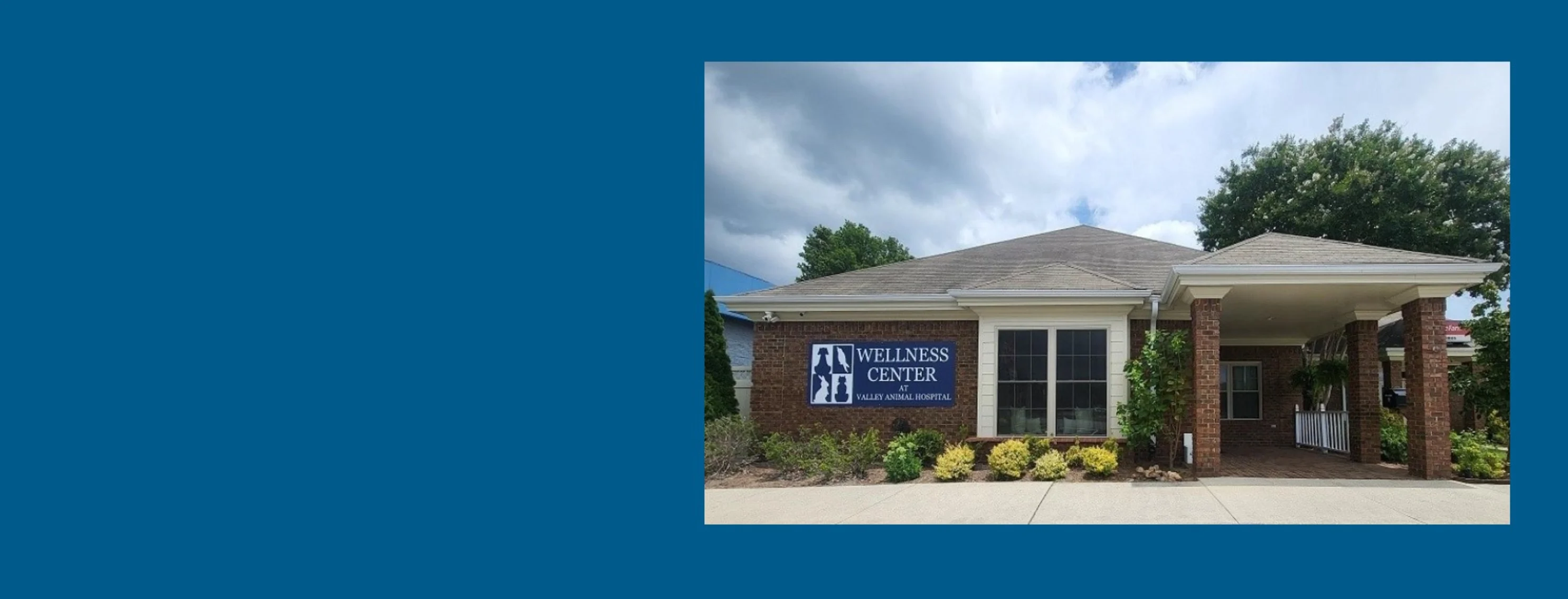 Valley Animal Hospital & Pet Resort's Wellness Center Valley Animal Hospital & Pet Resort's Wellness Center