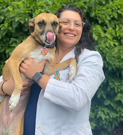 Monica Capolongo, DVM Monica Capolongo, DVM