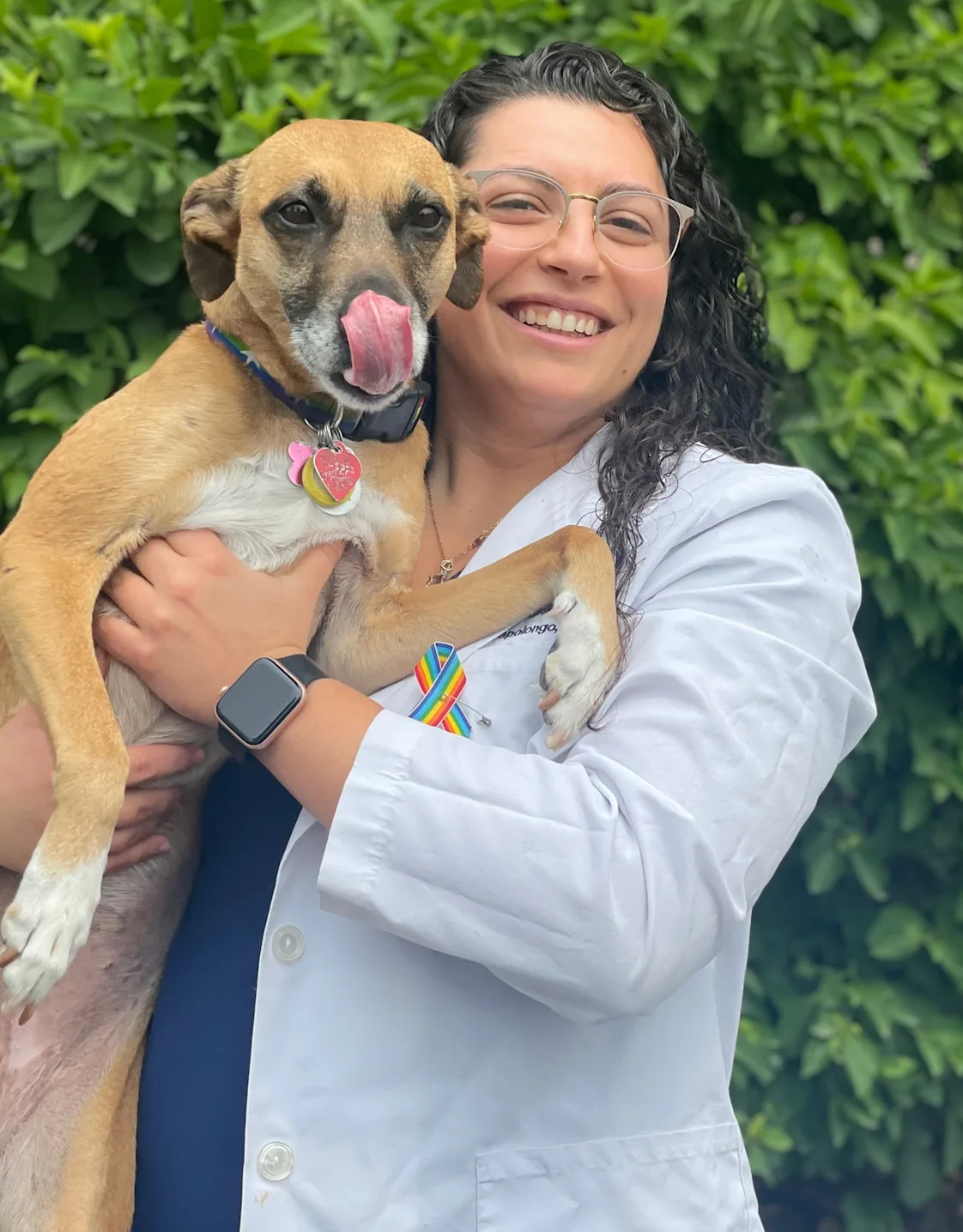 Monica Capolongo, DVM Monica Capolongo, DVM