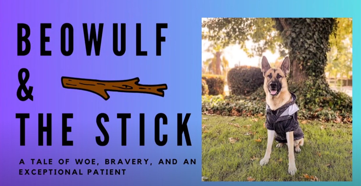 Beowulf and the Stick 