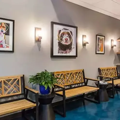 Waiting Area Waiting Area