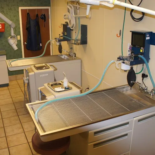 Dental Suite Dental Suite