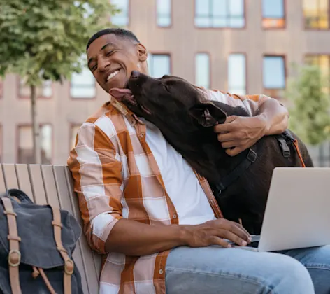 Dog Kissing Man using his Laptop Outside Dog Kissing Man using his Laptop Outside