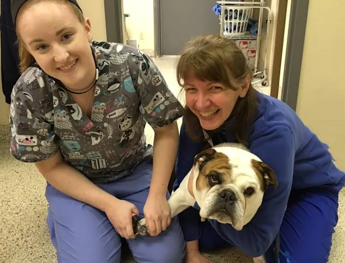 Two ladies clipping a dogs nails Two ladies clipping a dogs nails