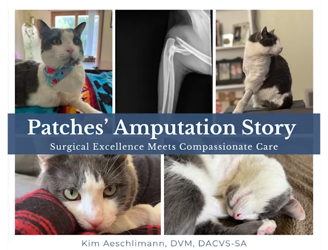 Emergency Care for Patches: A 4-Year-Old Kitty Emergency Care for Patches: A 4-Year-Old Kitty