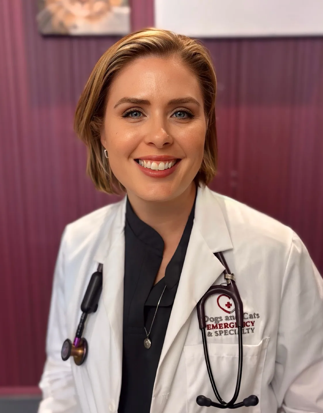 Dr. Klippen Dr. Klippen