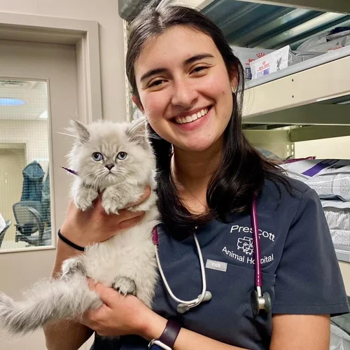 Gabi holding a grey kitten