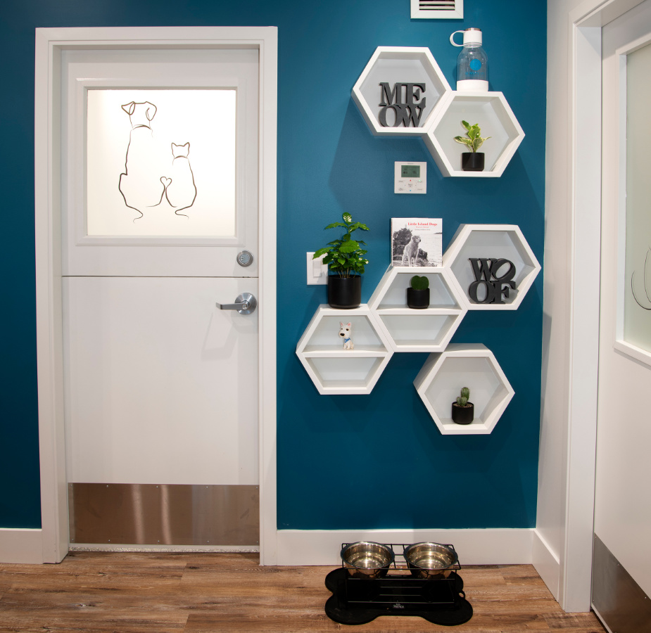 Lobby view with dog bowls and designed door