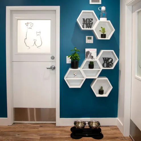 Lobby view with dog bowls and designed door