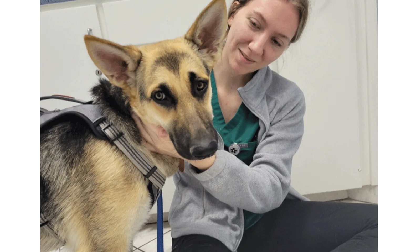 Staff with German Shepard Staff with German Shepard