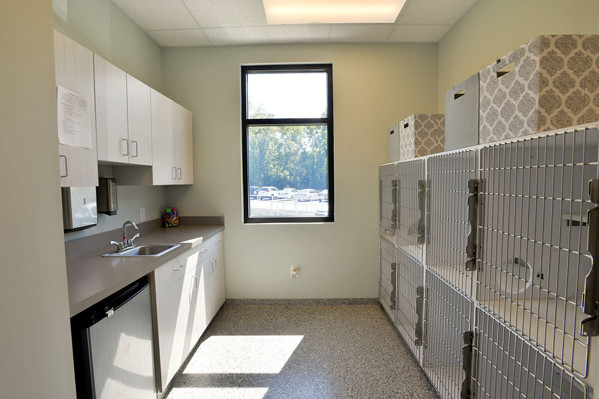 Feline Boarding Room