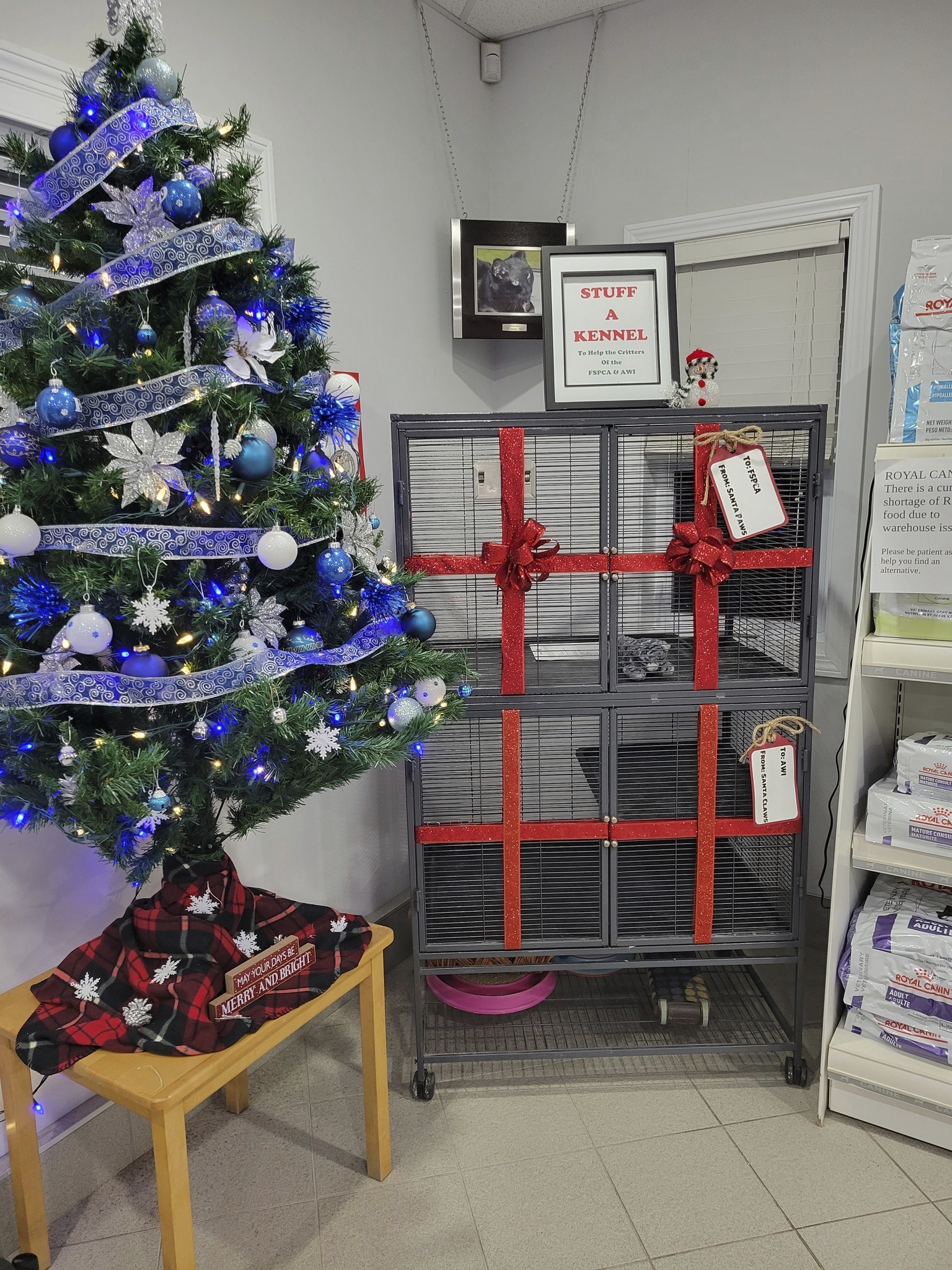 Holiday decorations for Stuff a Kennel