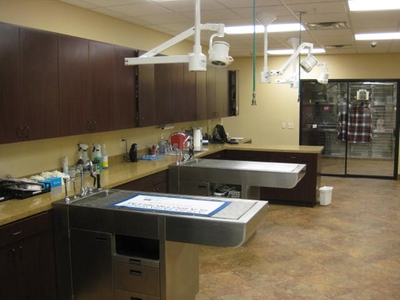 Animal Medical and Surgical Hospital of Frisco Treatment Area