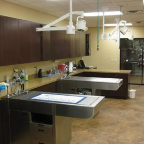 Animal Medical and Surgical Hospital of Frisco Treatment Area