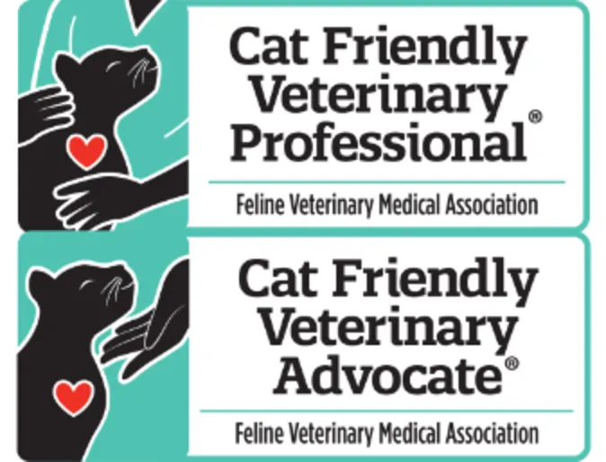 Cat Friendly Veterinarian Cat Friendly Veterinarian