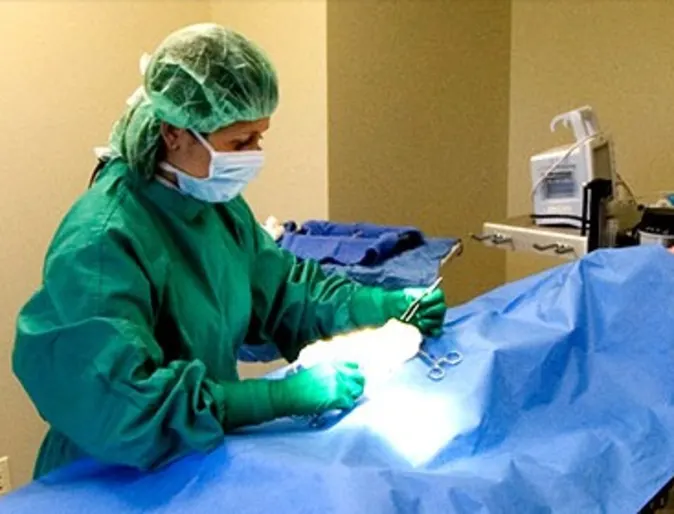 Vet giving surgery Vet giving surgery