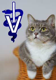  Greater Baltimore Veterinary Medical Association 