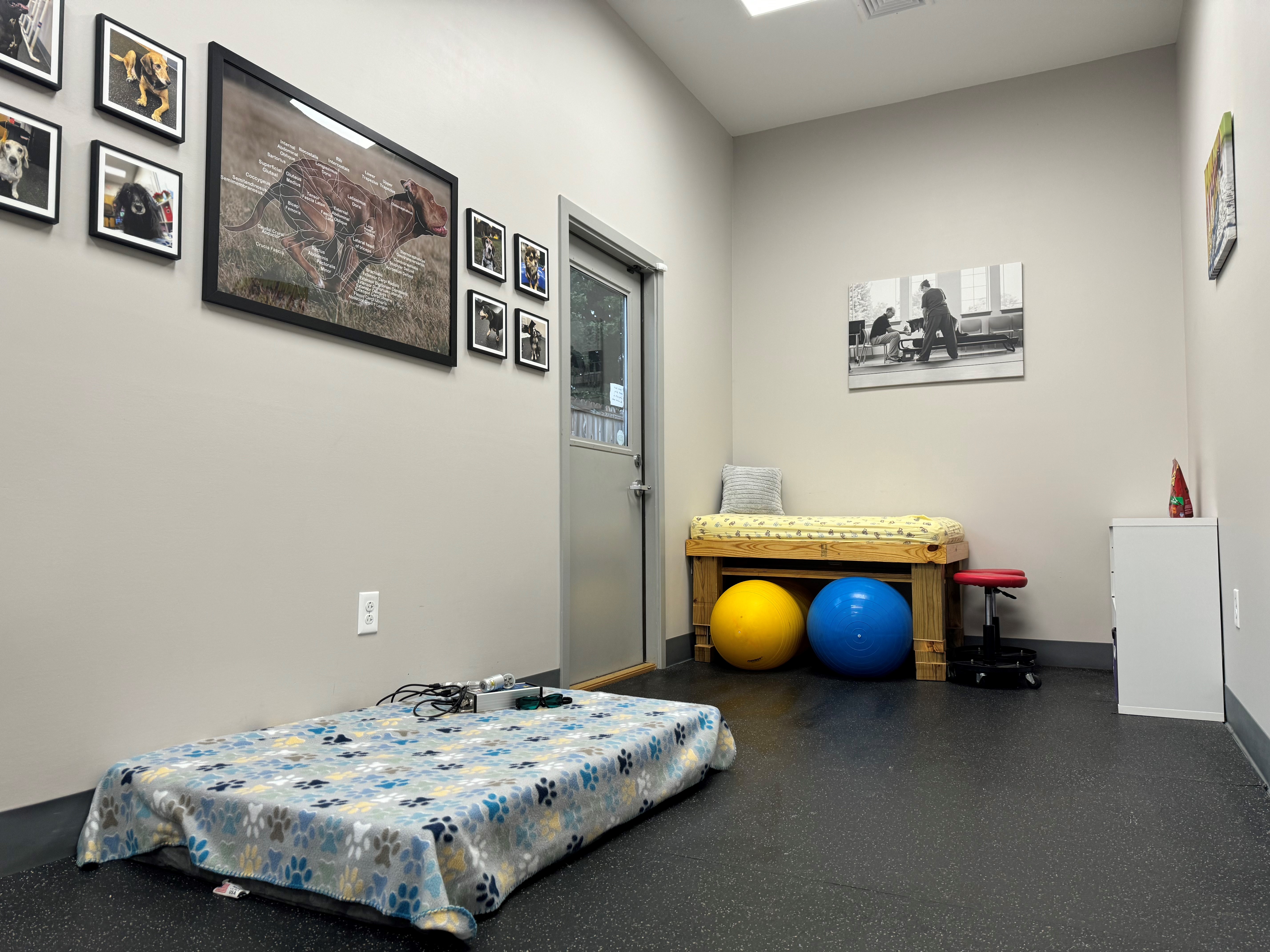 Laser therapy room