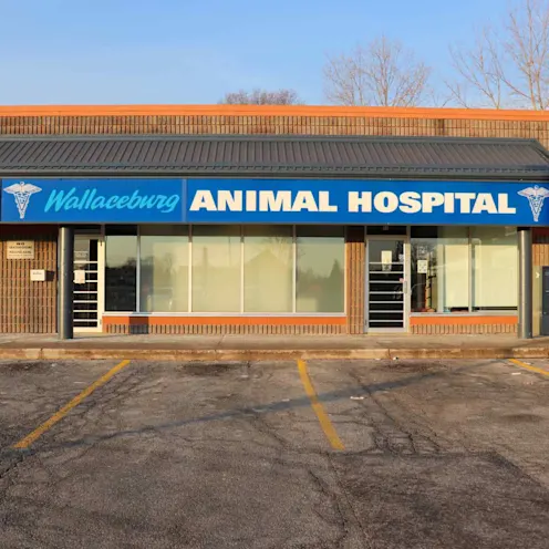 Outside View Outside View