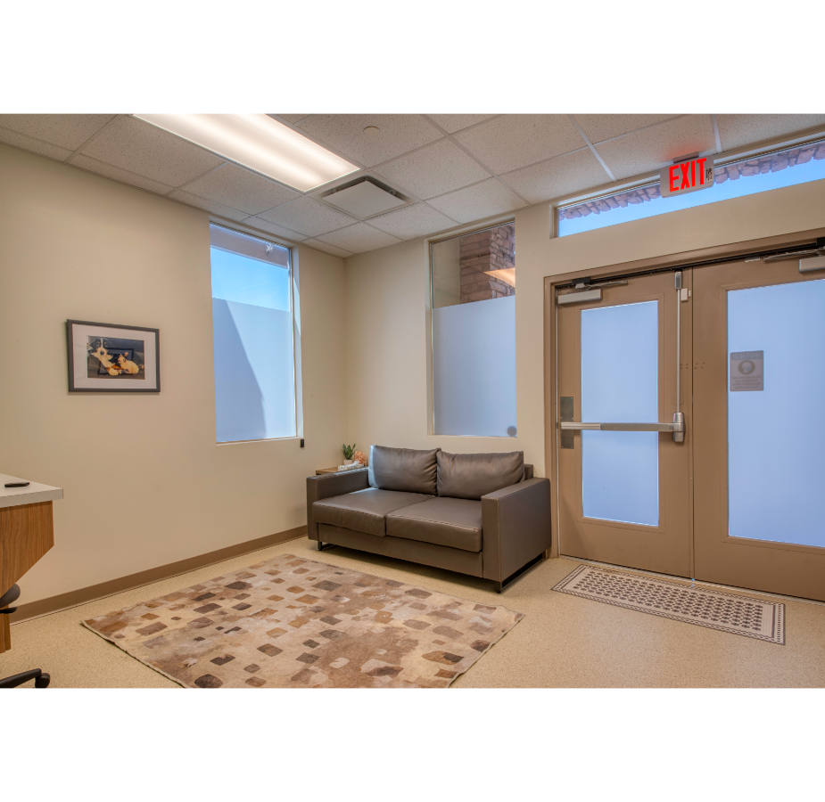Comfort Room at VetMed Emergency & Specialty Veterinary Hospital