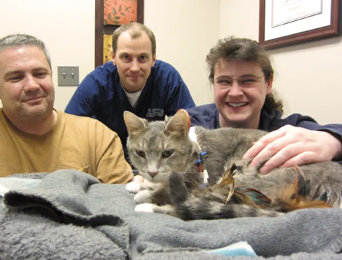 Squirrel the cat surrounded by doctors Squirrel the cat surrounded by doctors