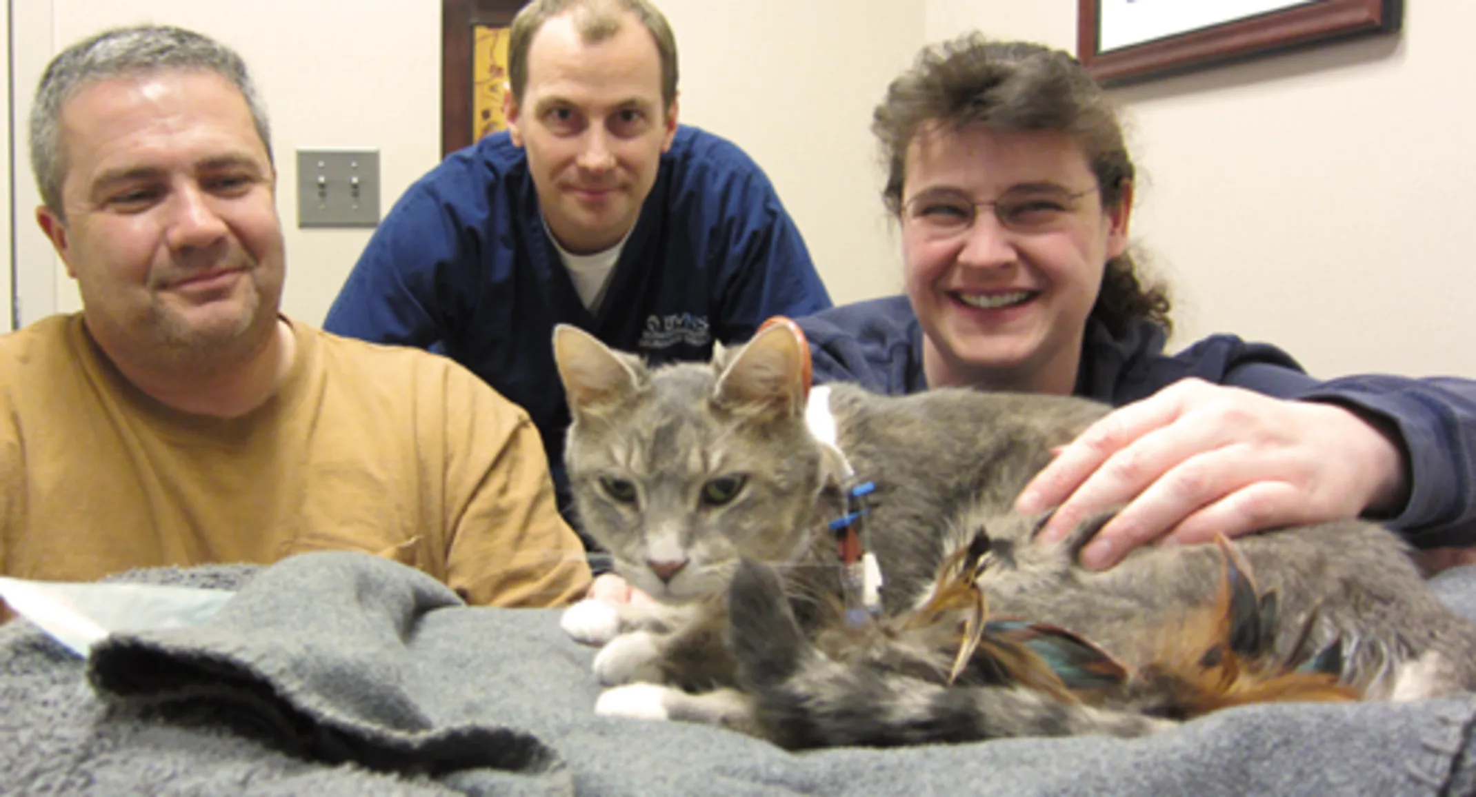 Squirrel the cat surrounded by doctors Squirrel the cat surrounded by doctors