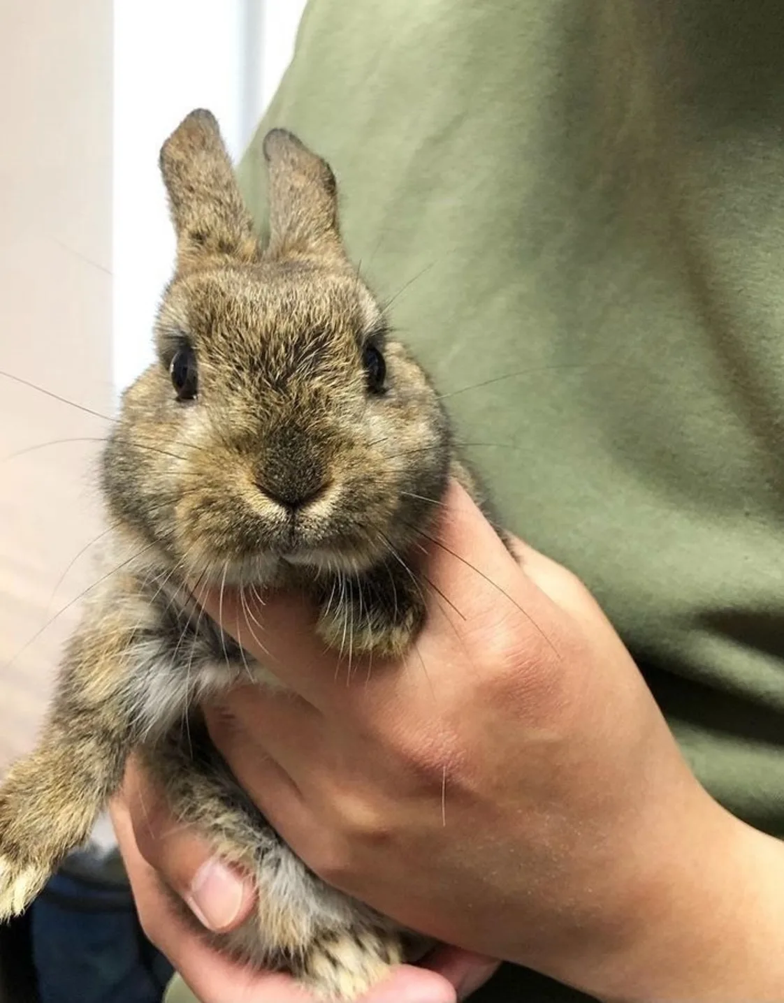 Nathaly Plasencia Nathaly Plasencia