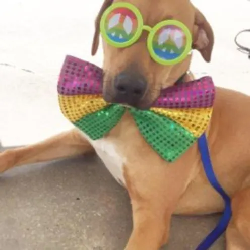 Klaus Kidder Klaus Kidder