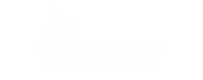Island City Animal Hospital Logo Island City Animal Hospital Logo